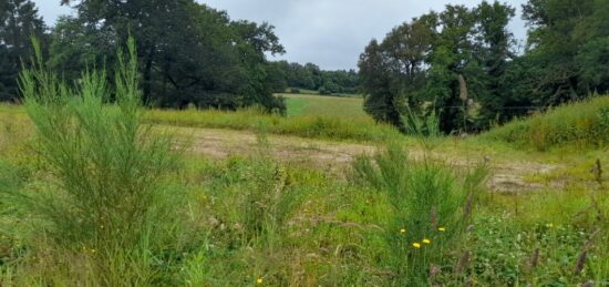 Terrain à bâtir à Limoges, Nouvelle-Aquitaine