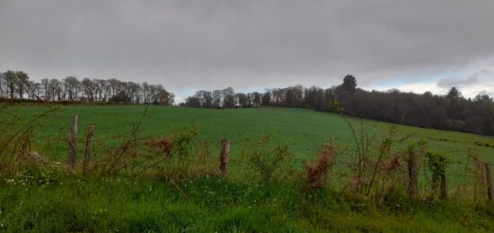 Terrain à bâtir à Couzeix, Nouvelle-Aquitaine