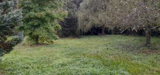 Terrain à bâtir à Saint-Léonard-de-Noblat, Nouvelle-Aquitaine