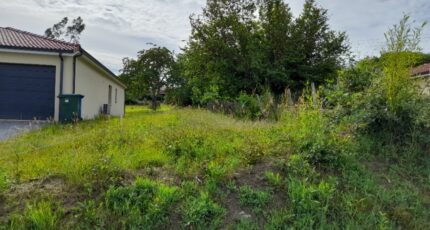 Le Palais-sur-Vienne Terrain à bâtir - 2093816-10865annonce2202502281a5fN.jpeg Maisons Millot